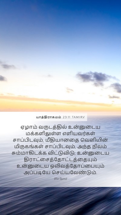 யாத்திராகமம் 23:11 TAMIRV Bible Verse Image