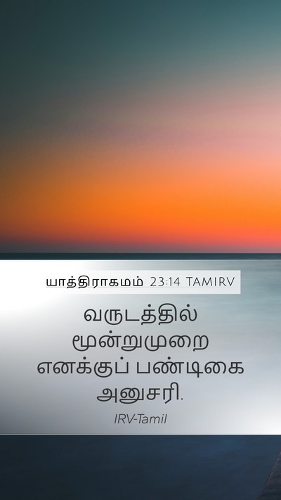 யாத்திராகமம் 23:14 TAMIRV Bible Verse Image