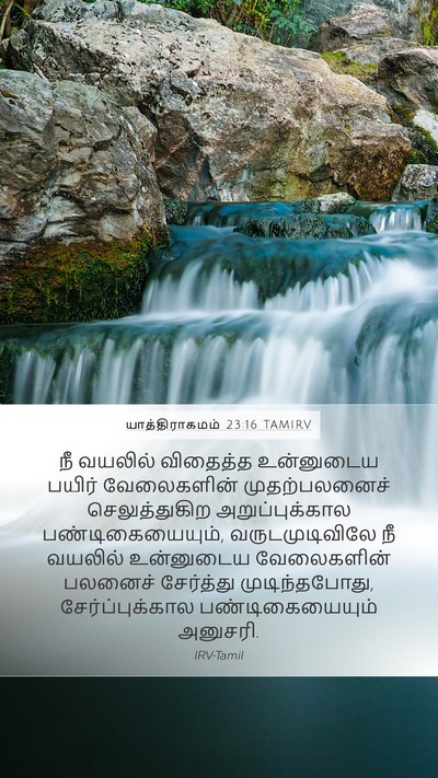 யாத்திராகமம் 23:16 TAMIRV Bible Verse Image