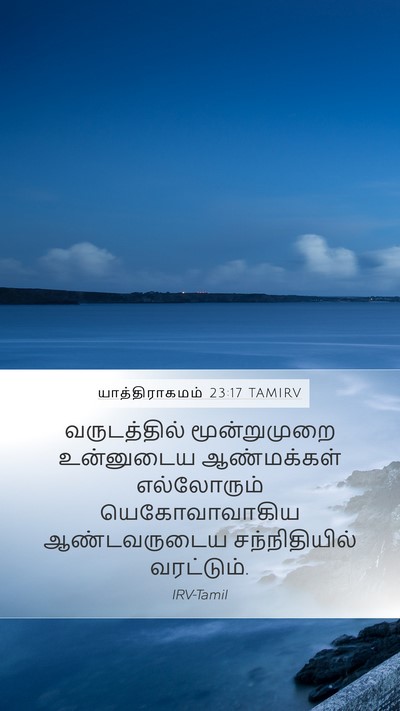 யாத்திராகமம் 23:17 TAMIRV Bible Verse Image