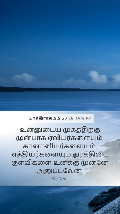 யாத்திராகமம் 23:28 TAMIRV Bible Verse Image