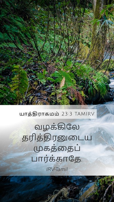 யாத்திராகமம் 23:3 TAMIRV Bible Verse Image