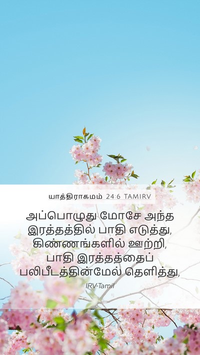 யாத்திராகமம் 24:6 TAMIRV Bible Verse Image