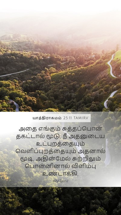 யாத்திராகமம் 25:11 TAMIRV Mobile Phone Wallpaper - அதை எங்கும் - Mobile Bible Verse Wallpaper