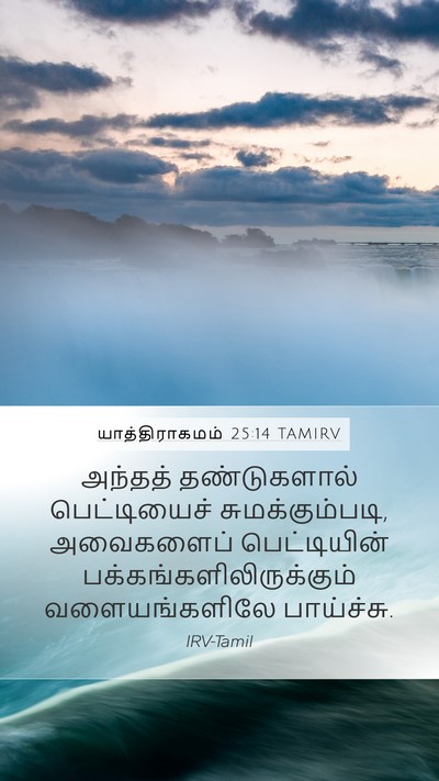 யாத்திராகமம் 25:14 TAMIRV Bible Verse Image
