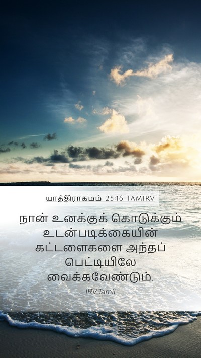யாத்திராகமம் 25:16 TAMIRV Bible Verse Image
