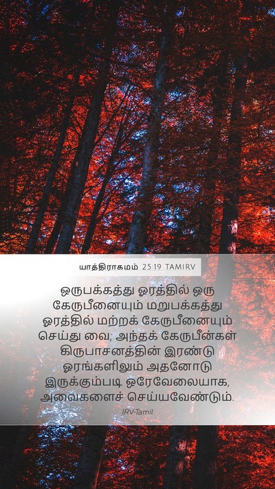 யாத்திராகமம் 25:19 TAMIRV Bible Verse Image