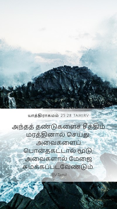 யாத்திராகமம் 25:28 TAMIRV Bible Verse Image