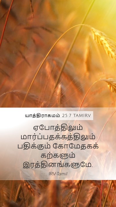 யாத்திராகமம் 25:7 TAMIRV Bible Verse Image