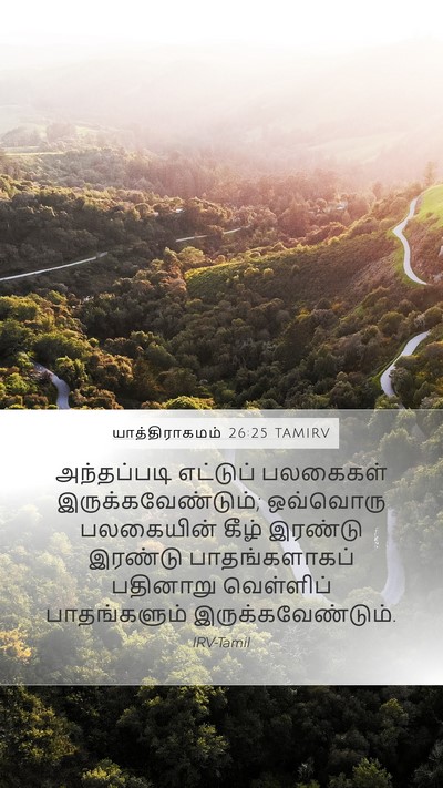 யாத்திராகமம் 26:25 TAMIRV Bible Verse Image
