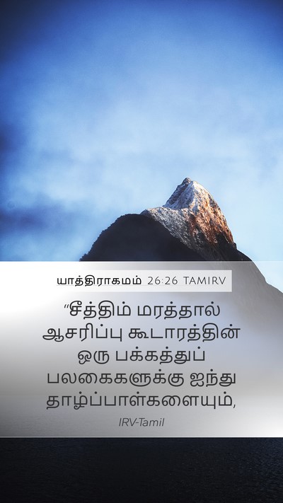 யாத்திராகமம் 26:26 TAMIRV Mobile Phone Wallpaper - “சீத்திம் - Mobile Bible Verse Wallpaper