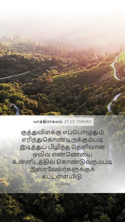 யாத்திராகமம் 27:20 TAMIRV Bible Verse Image