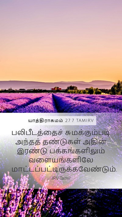 யாத்திராகமம் 27:7 TAMIRV Mobile Phone Wallpaper - பலிபீடத்தைச் - Mobile Bible Verse Wallpaper