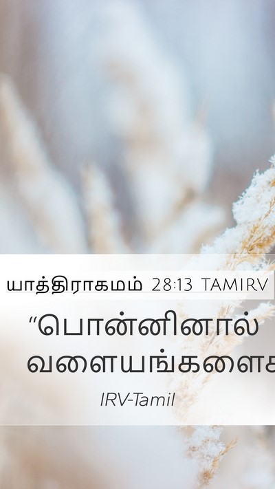 யாத்திராகமம் 28:13 TAMIRV Bible Verse Image