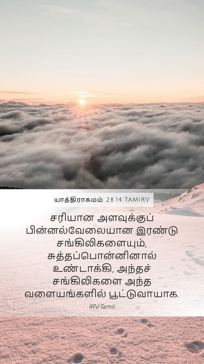 யாத்திராகமம் 28:14 TAMIRV Bible Verse Image