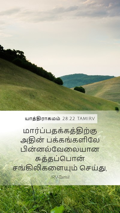யாத்திராகமம் 28:22 TAMIRV Bible Verse Image