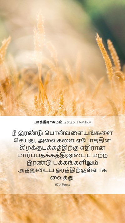 யாத்திராகமம் 28:26 TAMIRV Bible Verse Image
