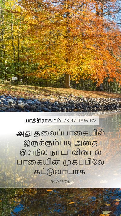 யாத்திராகமம் 28:37 TAMIRV Bible Verse Image