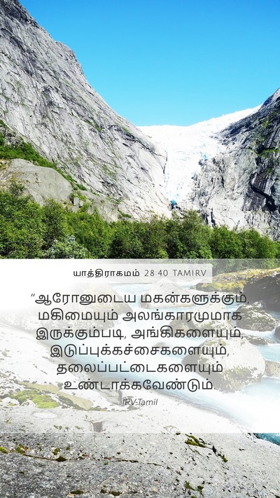 யாத்திராகமம் 28:40 TAMIRV Bible Verse Image