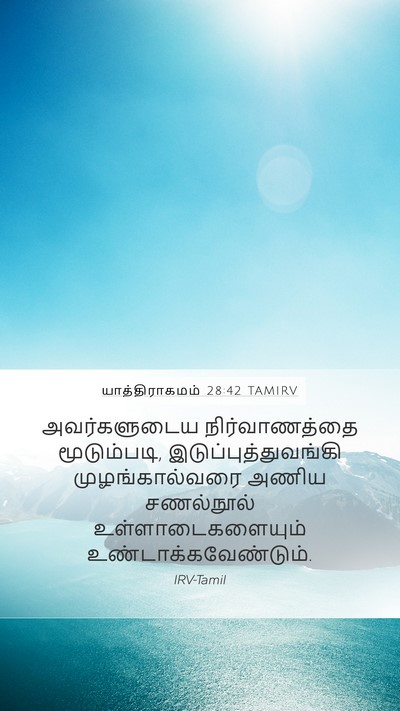 யாத்திராகமம் 28:42 TAMIRV Mobile Phone Wallpaper - அவர்களுடைய - Mobile Bible Verse Wallpaper