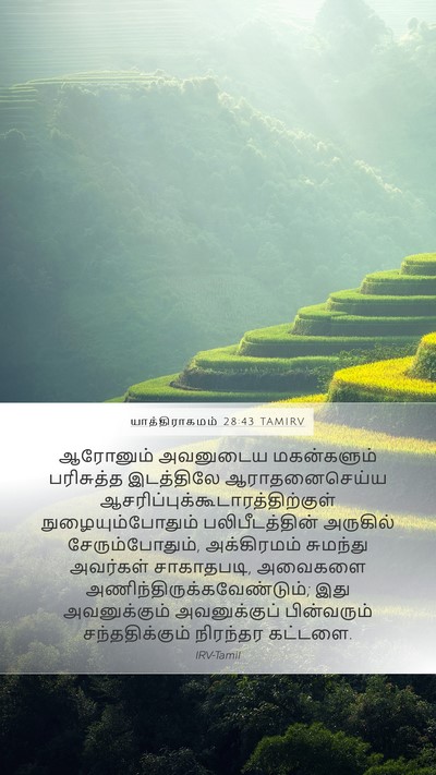 யாத்திராகமம் 28:43 TAMIRV Bible Verse Image