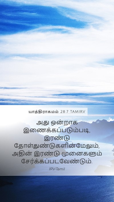 யாத்திராகமம் 28:7 TAMIRV Mobile Phone Wallpaper - அது ஒன்றாக - Mobile Bible Verse Wallpaper