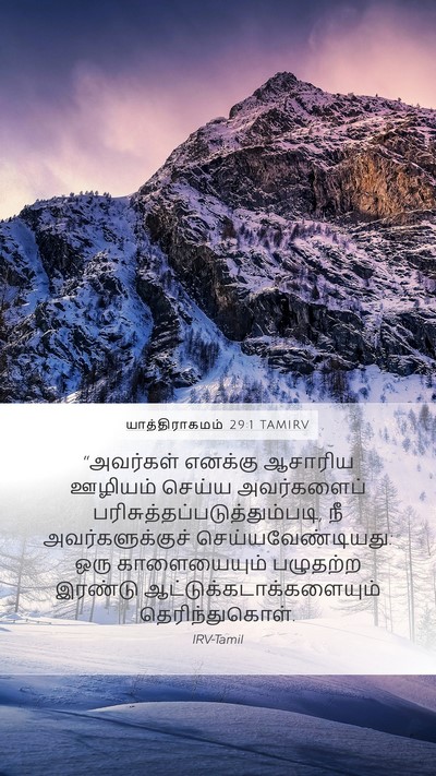 யாத்திராகமம் 29:1 TAMIRV Bible Verse Image