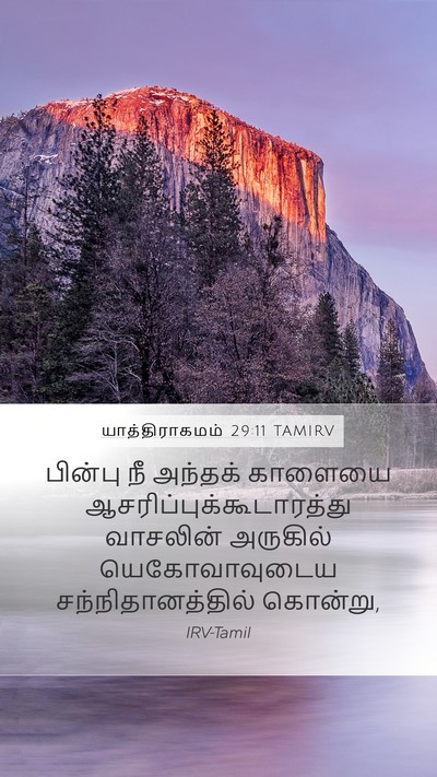 யாத்திராகமம் 29:11 TAMIRV Bible Verse Image
