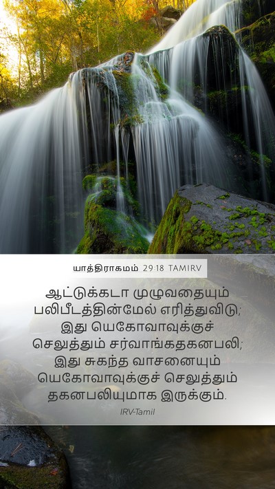 யாத்திராகமம் 29:18 TAMIRV Bible Verse Image