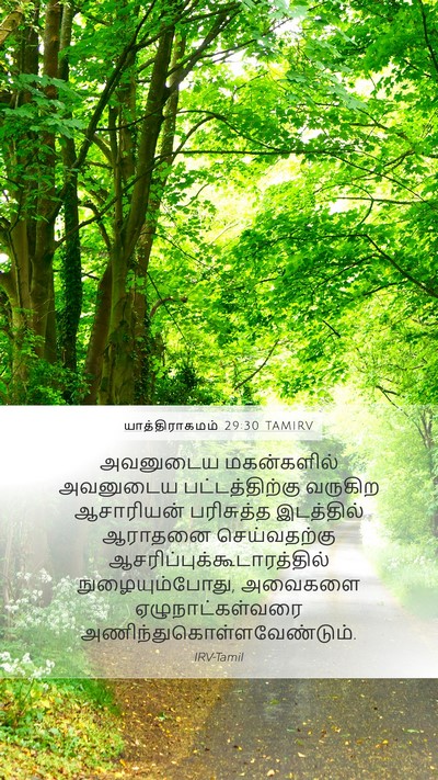 யாத்திராகமம் 29:30 TAMIRV Bible Verse Image