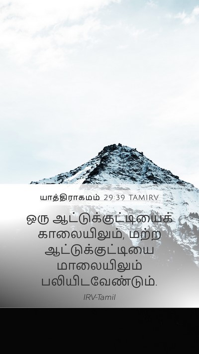 யாத்திராகமம் 29:39 TAMIRV Bible Verse Image