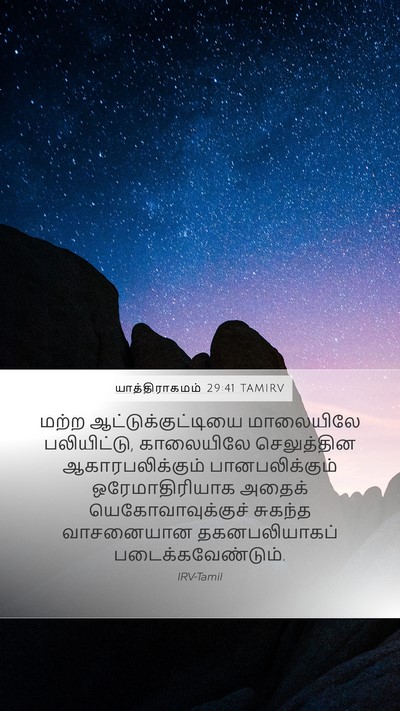 யாத்திராகமம் 29:41 TAMIRV Bible Verse Image
