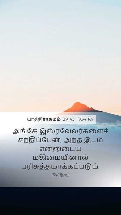 யாத்திராகமம் 29:43 TAMIRV Bible Verse Image