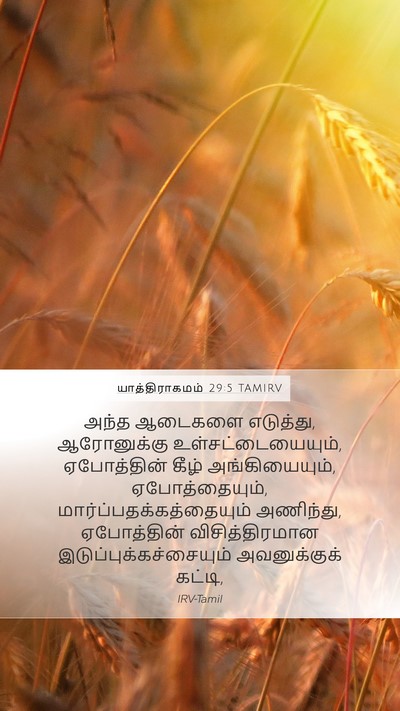யாத்திராகமம் 29:5 TAMIRV Bible Verse Image