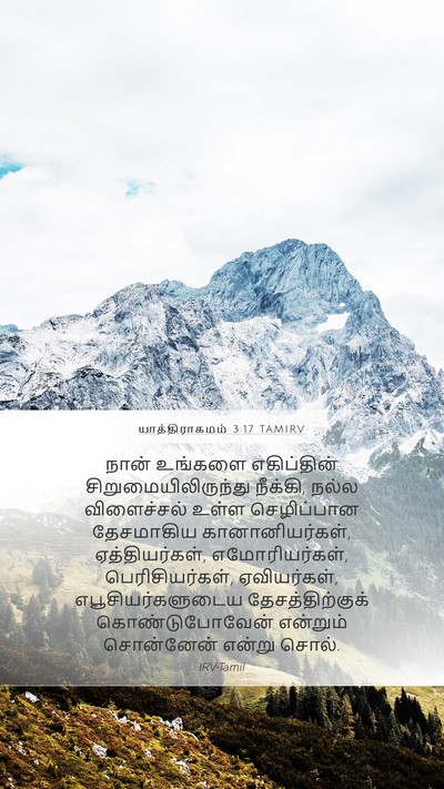 யாத்திராகமம் 3:17 TAMIRV Bible Verse Image