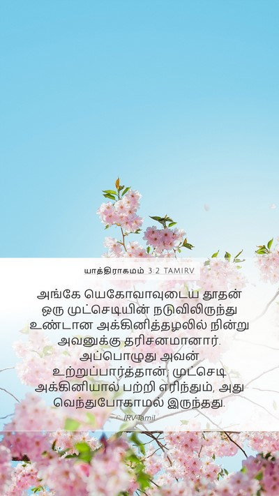 யாத்திராகமம் 3:2 TAMIRV Bible Verse Image