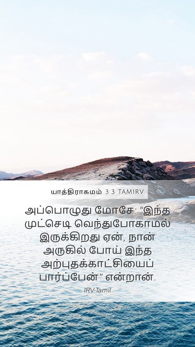 யாத்திராகமம் 3:3 TAMIRV Bible Verse Image