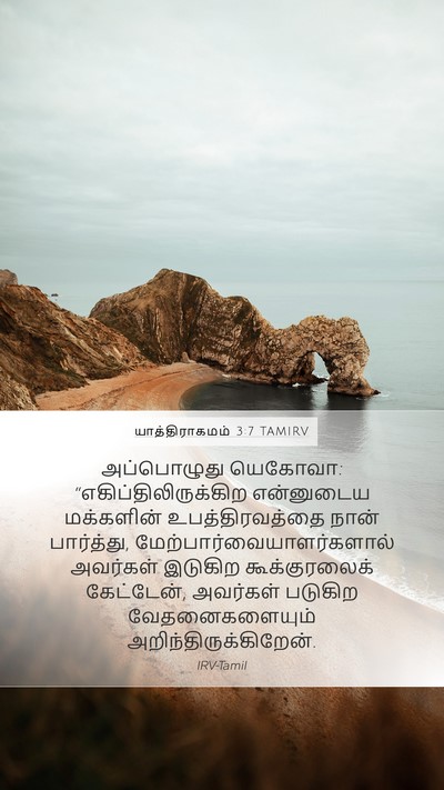 யாத்திராகமம் 3:7 TAMIRV Bible Verse Image