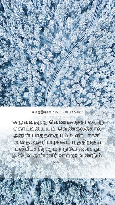 யாத்திராகமம் 30:18 TAMIRV Bible Verse Image