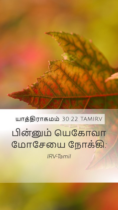 யாத்திராகமம் 30:22 TAMIRV Mobile Phone Wallpaper - பின்னும் யெகோவா - Mobile Bible Verse Wallpaper