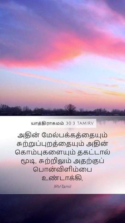 யாத்திராகமம் 30:3 TAMIRV Bible Verse Image