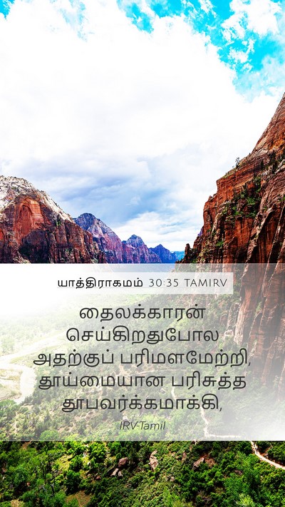 யாத்திராகமம் 30:35 TAMIRV Mobile Phone Wallpaper - தைலக்காரன் - Mobile Bible Verse Wallpaper