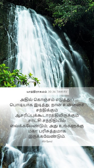 யாத்திராகமம் 30:36 TAMIRV Bible Verse Image