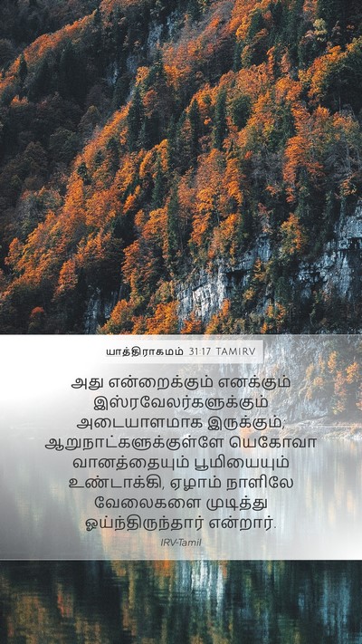 யாத்திராகமம் 31:17 TAMIRV Bible Verse Image