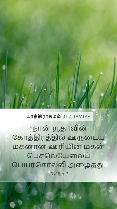 யாத்திராகமம் 31:2 TAMIRV Bible Verse Image