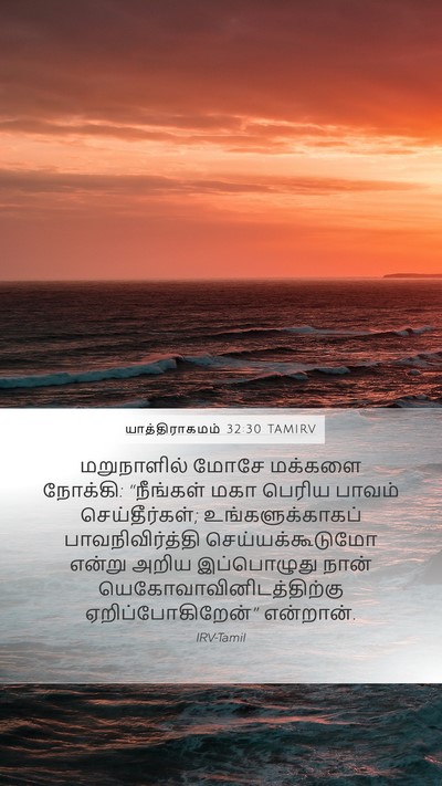 யாத்திராகமம் 32:30 TAMIRV Bible Verse Image