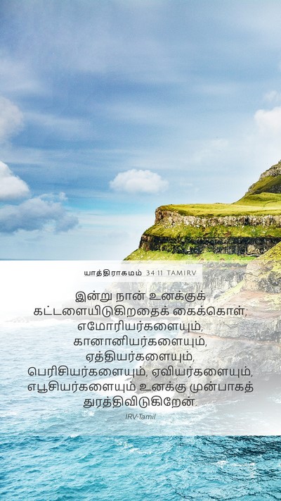 யாத்திராகமம் 34:11 TAMIRV Bible Verse Image