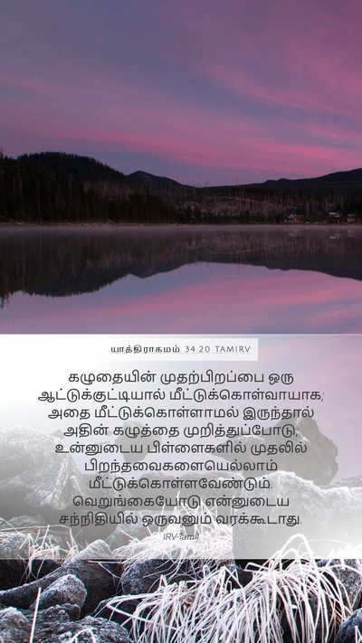 யாத்திராகமம் 34:20 TAMIRV Bible Verse Image
