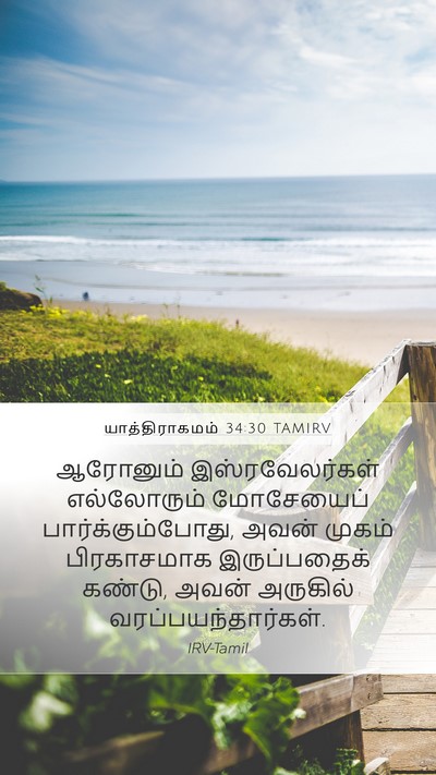 யாத்திராகமம் 34:30 TAMIRV Mobile Phone Wallpaper - ஆரோனும் - Mobile Bible Verse Wallpaper