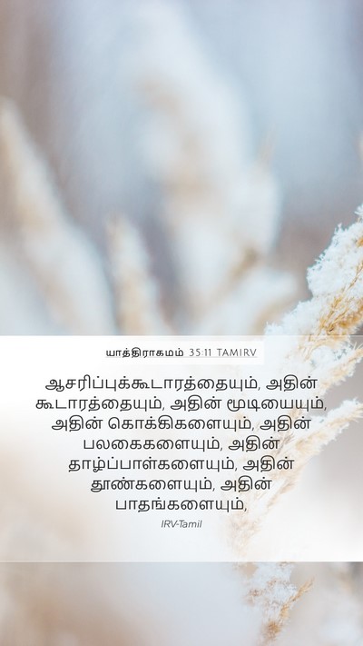 யாத்திராகமம் 35:11 TAMIRV Bible Verse Image